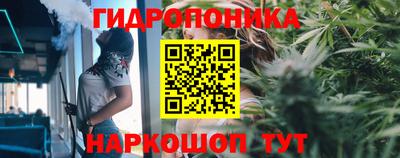 гашишное масло Будённовск