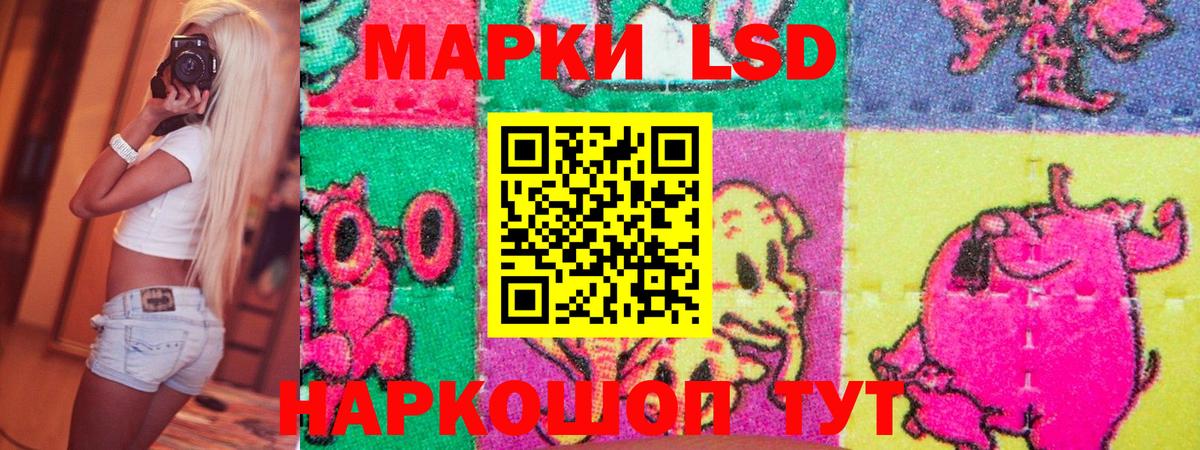 Дубна  Наркотические марки 1,8мг  купить наркотики сайты  Вход с VPN 