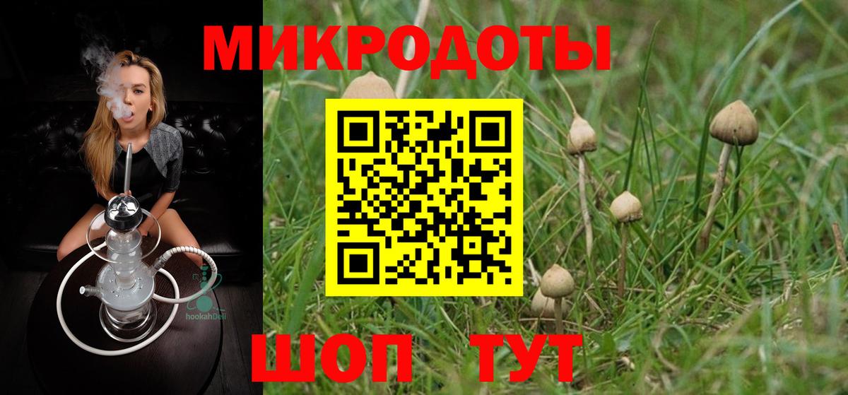 Псилоцибиновые грибы Psilocybine cubensis  Вход с VPN  Дубна 